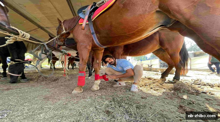 智博体育 - 智博｜智博体育「中国」官方网站｜ZHO BO SPORTS